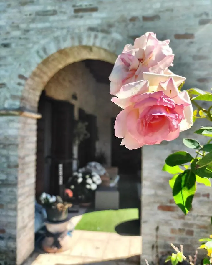 *** Guest house Damabianca Hotel Portogruaro Italy